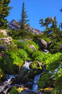 Broken Top above brook-5985.jpg